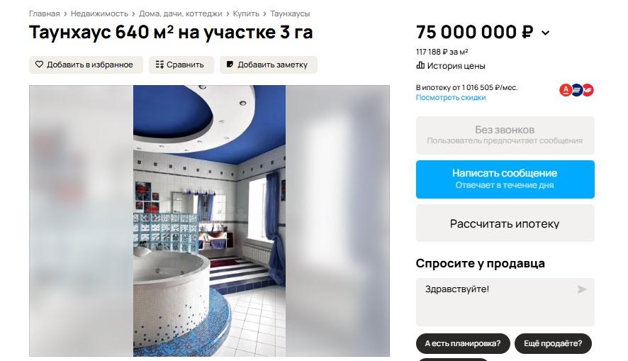 На Левом берегу Омска продают таунхаус с озером для плавания
