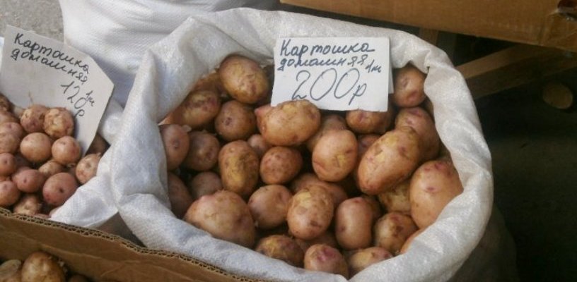 «Картофельная инфляция» не затронет Омскую область