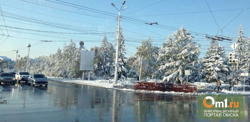 В Омске всю неделю ожидаются снег и ветер