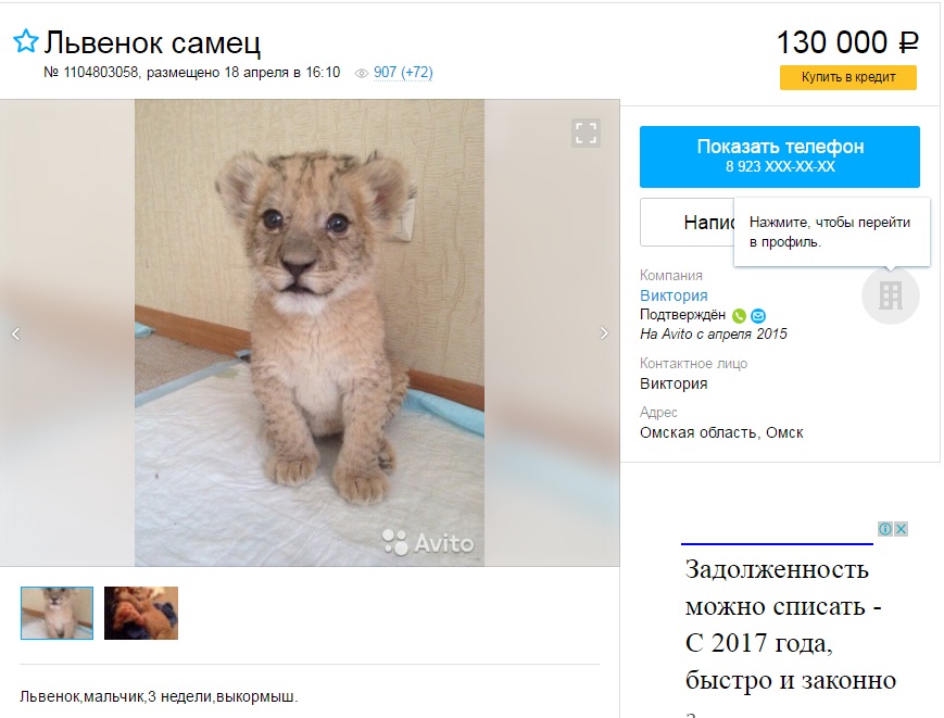 Дома в сибири фото Дома в сибири фото