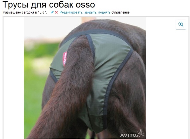 джинсовые бренды в россии