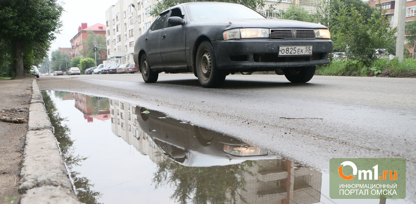 Доцент СибАДИ придумал творческое решение проблемы с «ливнёвкой» на улице Пушкина в Омске