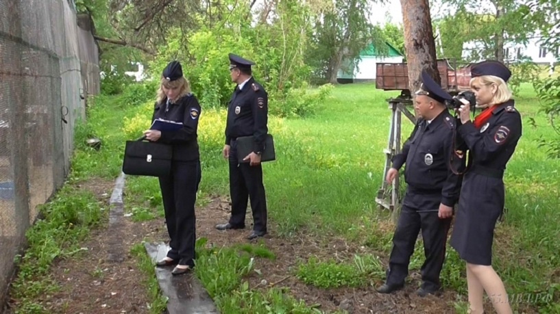 В Омской области двое парней приготовили шашлык из краснокнижных птиц