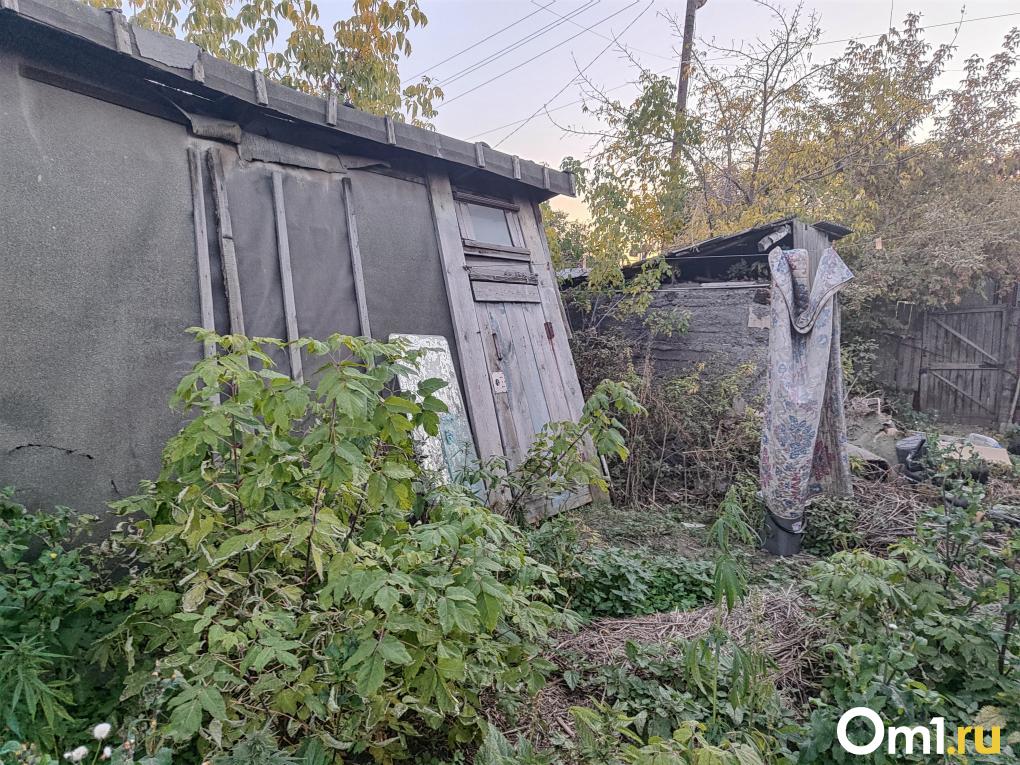 В Омске инвалид без ног 10 лет живёт в разваливающемся доме