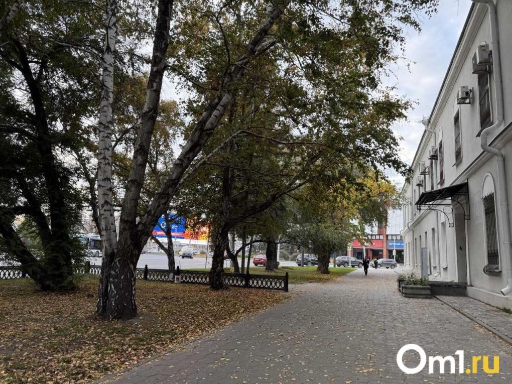 По улицам родного города: омичам устроят познавательные экскурсии