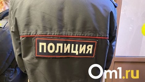 Действуют через друзей: полиция предупредила омичей о новой схеме мошенников