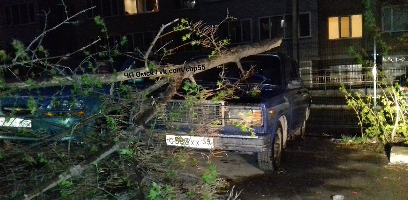 Ночной ураган в Омске снес несколько деревьев и оборвал провода