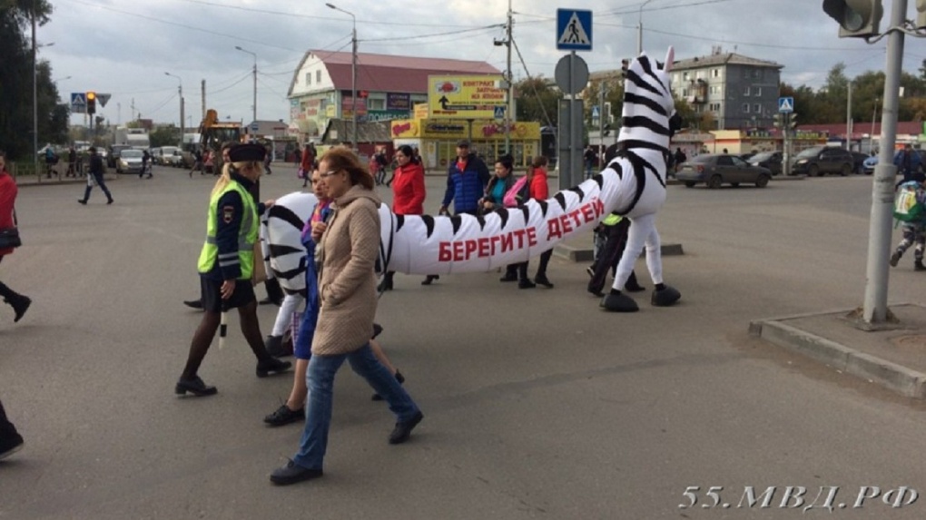 Зебра 33 новости. Акция «внимание! «Зебра». Зебра 33 Владимир. Яндекс Зебра новости.