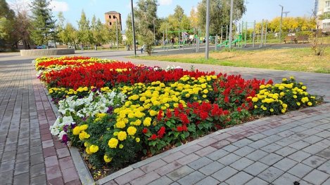 В следующем году в Омске обустроят две новые клумбы