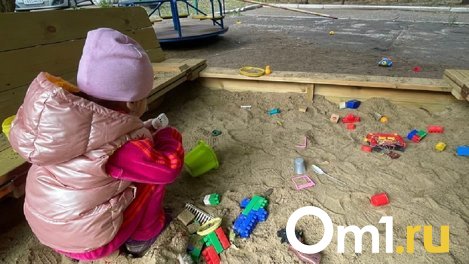 В Омске многодетным семьям планируют предоставить дополнительные выходные