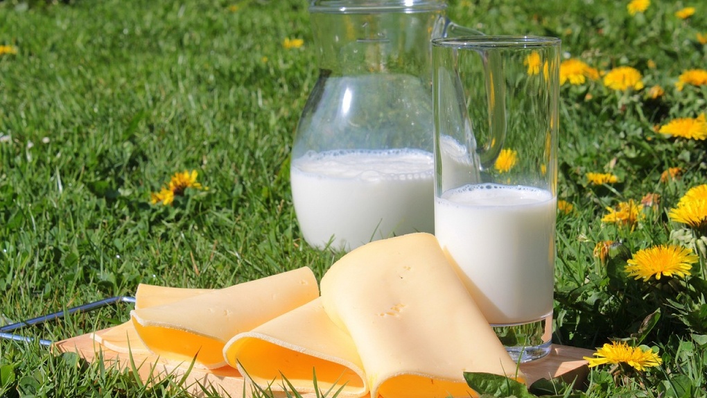 В Омской области продают фальсифицированное молоко и молочные продукты
