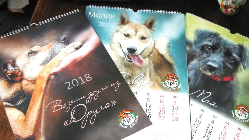 Омский приют выпустил календарь с бездомными собаками
