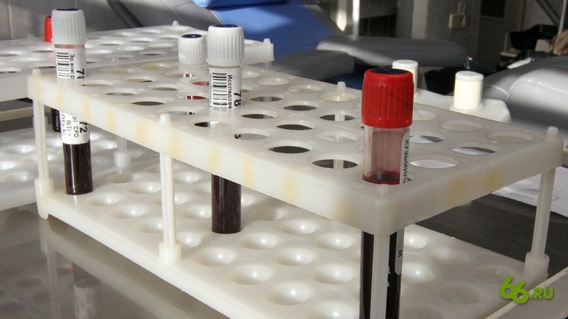 «Советуем сделать прививки»: Роспотребнадзор предупредил россиян о больных европейских геях