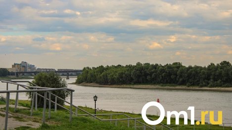 Синоптики рассказали, когда в Омскую область придёт бабье лето