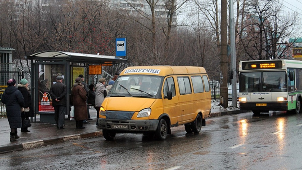 В Омской области 6 перевозчиков лишились маршрутов