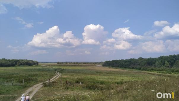 Жителю Омской области грозит уголовное дело за кражу двух тюков соломы