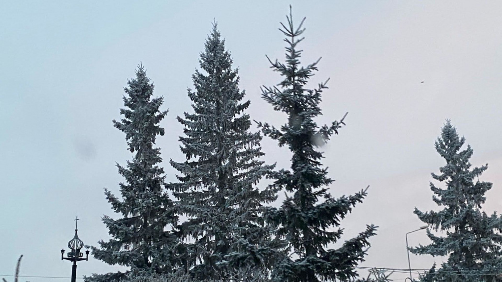 В Новосибирске ударил аномальный мороз: ожидается похолодание до — 50 градусов