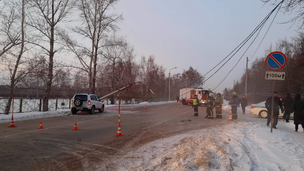 В Омске на ехавшую по дороге машину внезапно упал фонарный столб