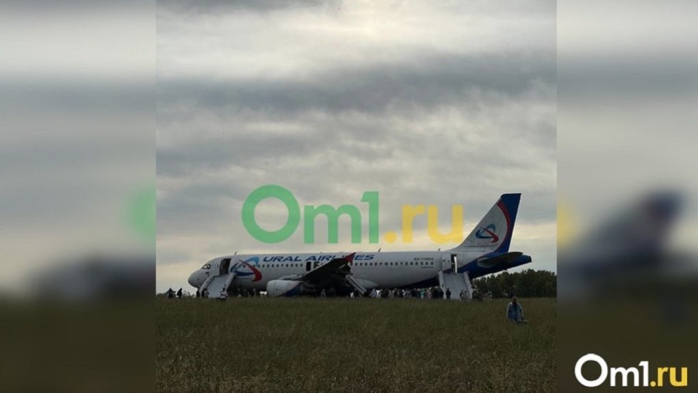 С наступлением холодов самолёт рейса Сочи-Омск может взлететь прямо с поля