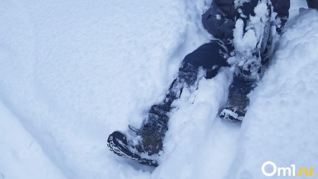 Пропавшего месяц назад мужчину нашли мёртвым в снегу в Новосибирской области