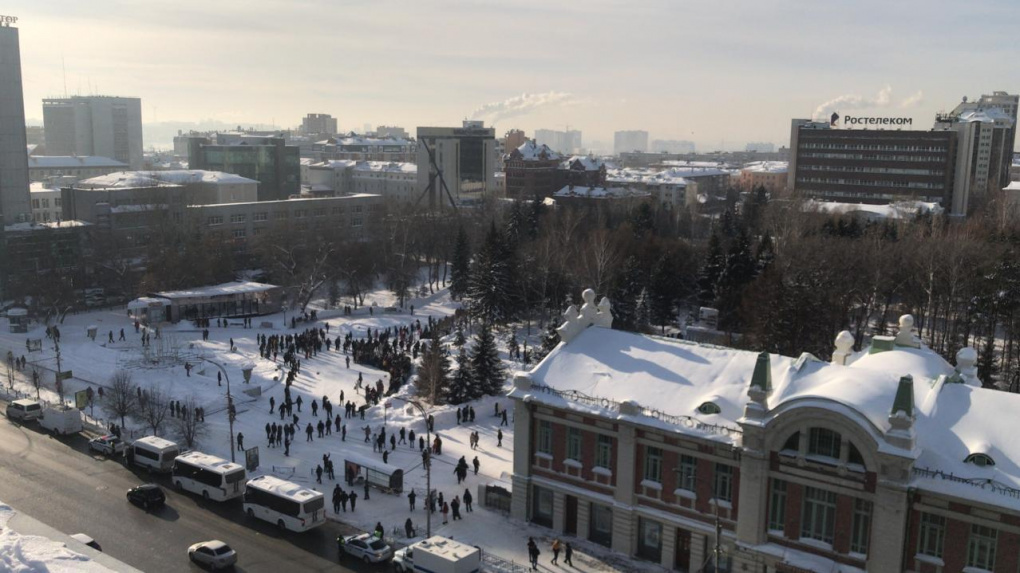 Названо число участников протестной акции 31 января в Новосибирске