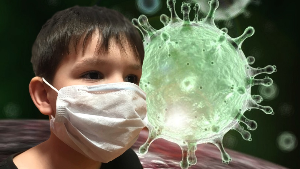 Вспышка коронавируса: 48 школьных классов вернулись к дистанционному обучению в Новосибирской области